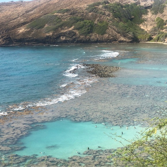 Meet your Posher, Kennedy - Picture 1 of 1